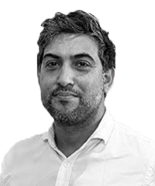 Raj Mehli
